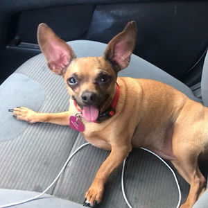 Meet your Posher, Noah